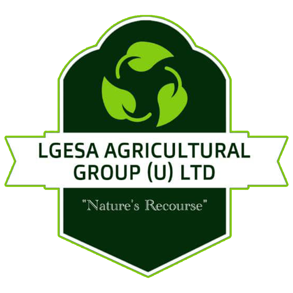 Lgesa Agricultural Group Uganda Limited